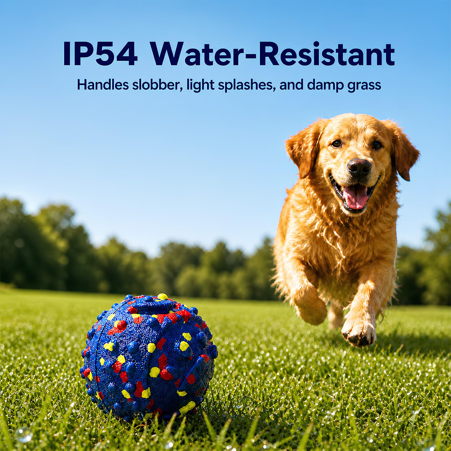 Rolling Interactive Ball for Dogs — Self-Moving, Waterproof & Rechargeable