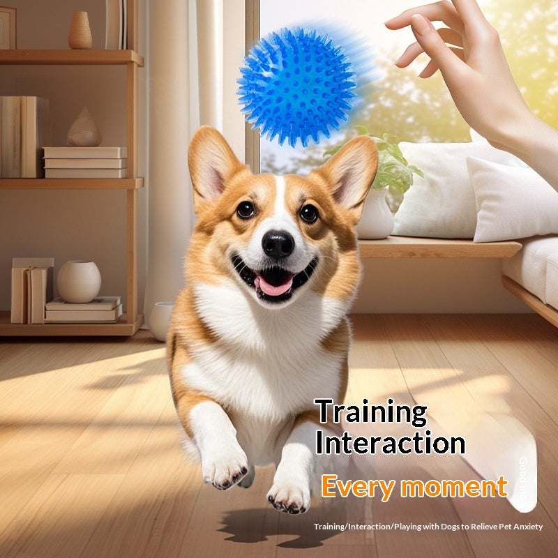Bouncy Fetch Balls for Dogs — Durable TPR Set of 4 Sizes