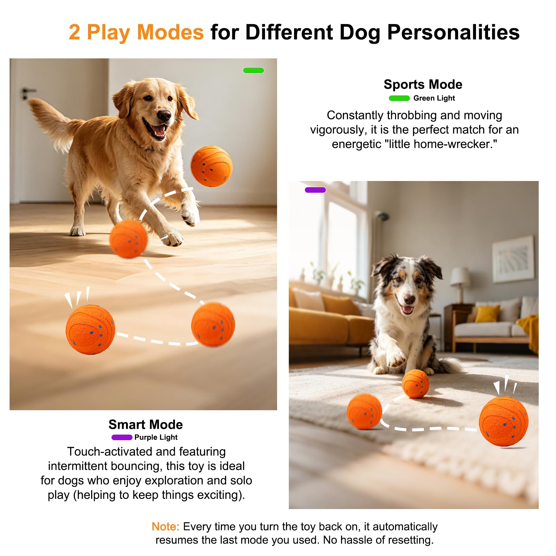 Self-Moving Dog Ball for Independent Play — Rechargeable & Chew-Resistant