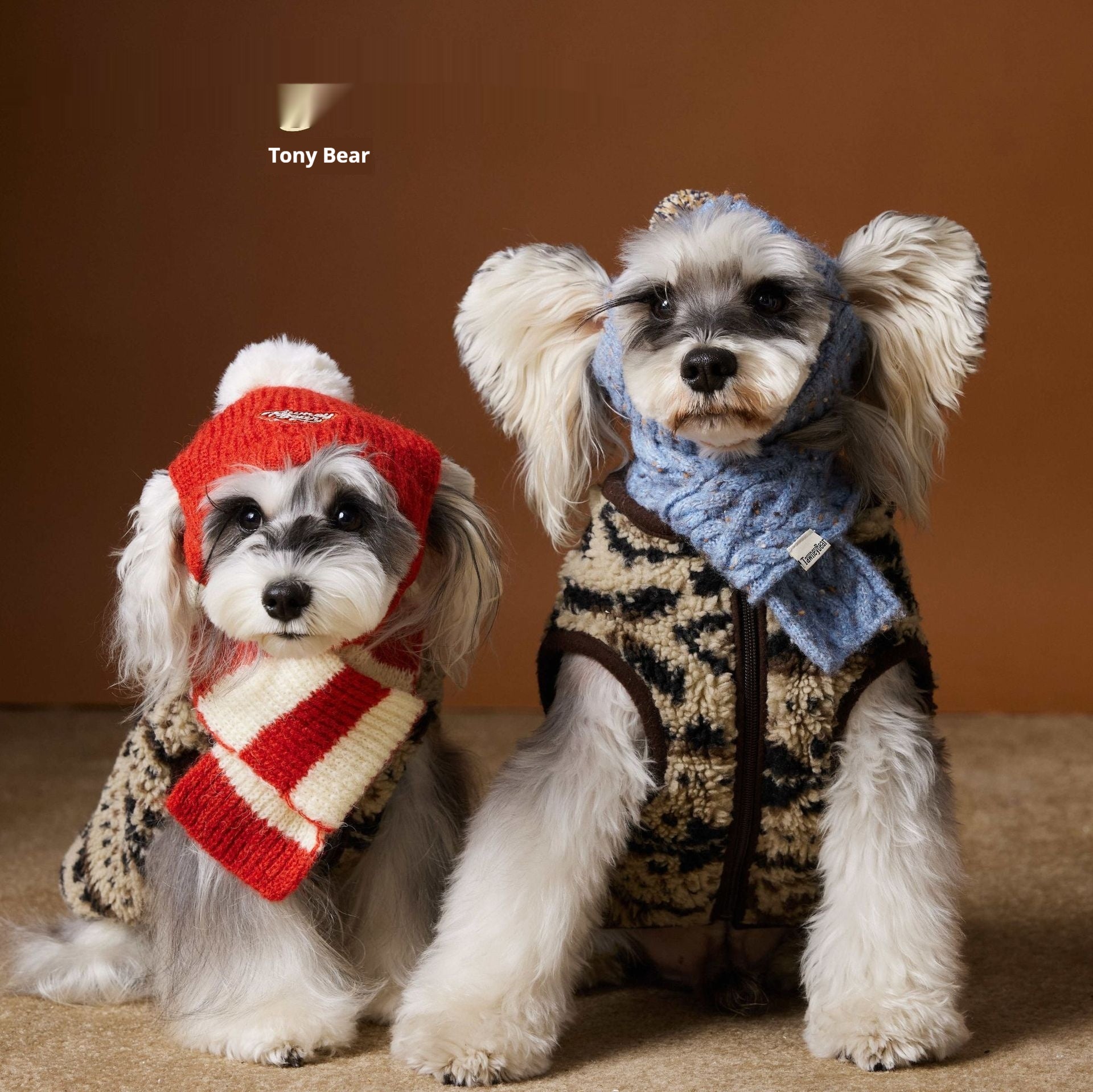 Cosy Fair Isle Knit Vest for Small Dogs — Teddy & Shih Tzu Fit
