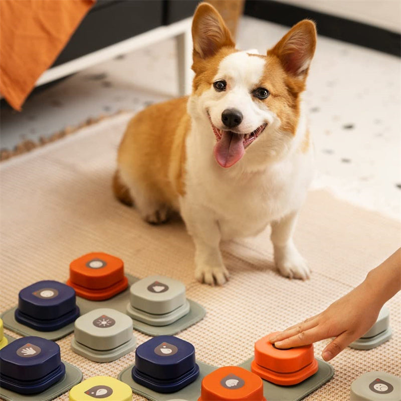 Recordable Talking Button for Dogs & Cats — Teach Your Pet to Communicate