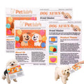 Crinkle Newspaper Dog Toy (2-Pack) for Small to Medium Dogs — Low-Noise Indoor Play