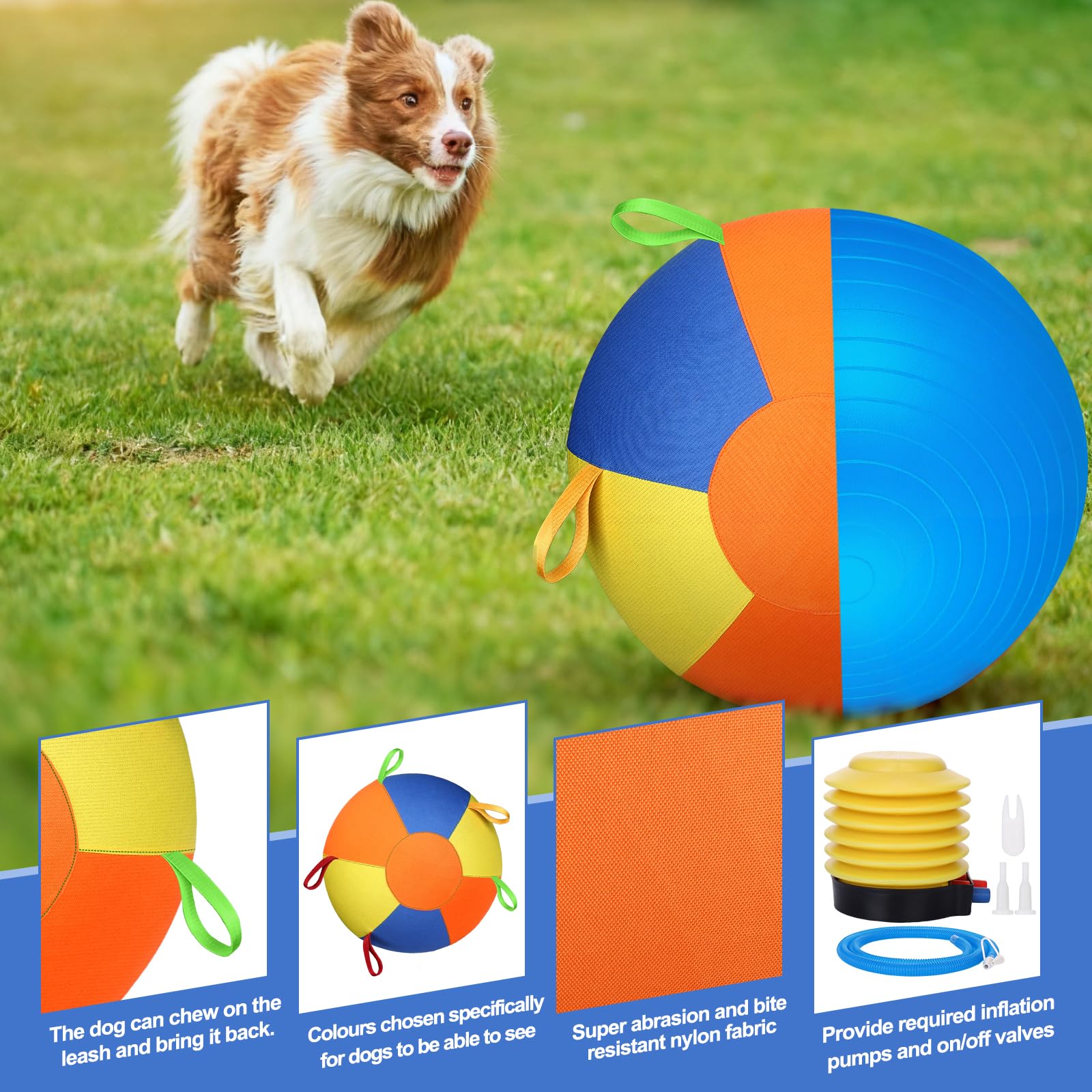 Herding Training Ball with Handles for Medium & Large Dogs — Outdoor Play
