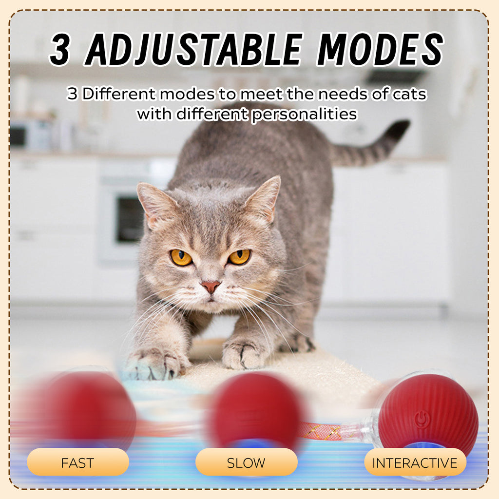Self-Moving Cat Toy Ball with Elastic Tail — Two-Speed Interactive Play