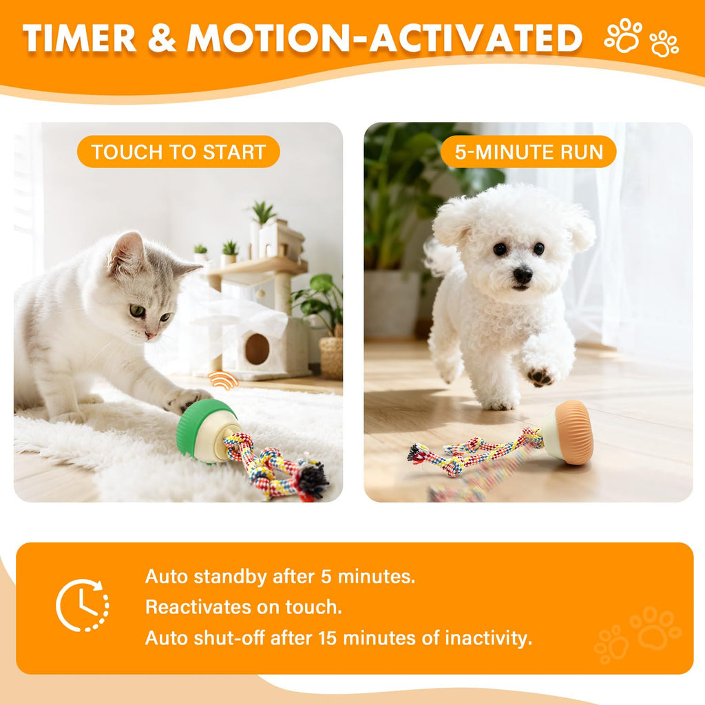 Self-Rolling Cat Toy Ball with LED Lights & Sound — Auto Rotating