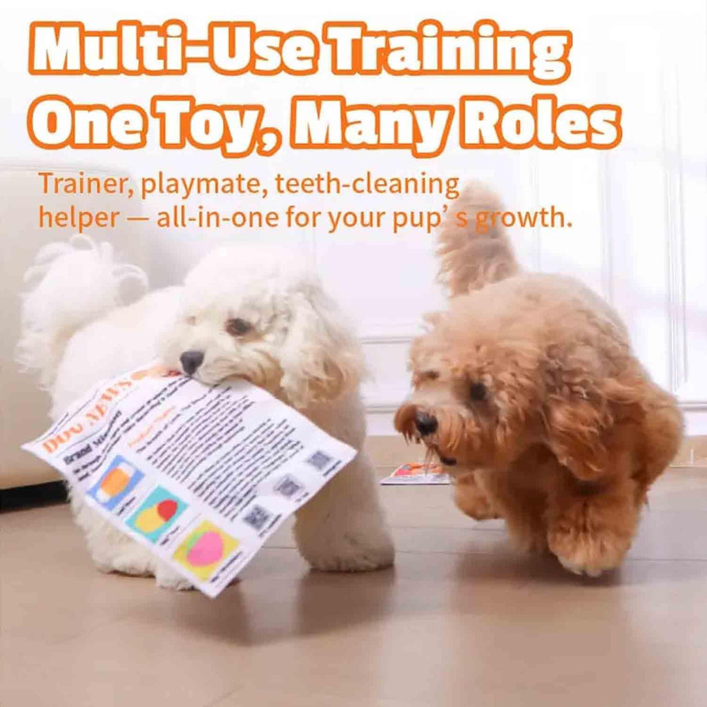 Crinkle Newspaper Dog Toy (2-Pack) for Small to Medium Dogs — Low-Noise Indoor Play