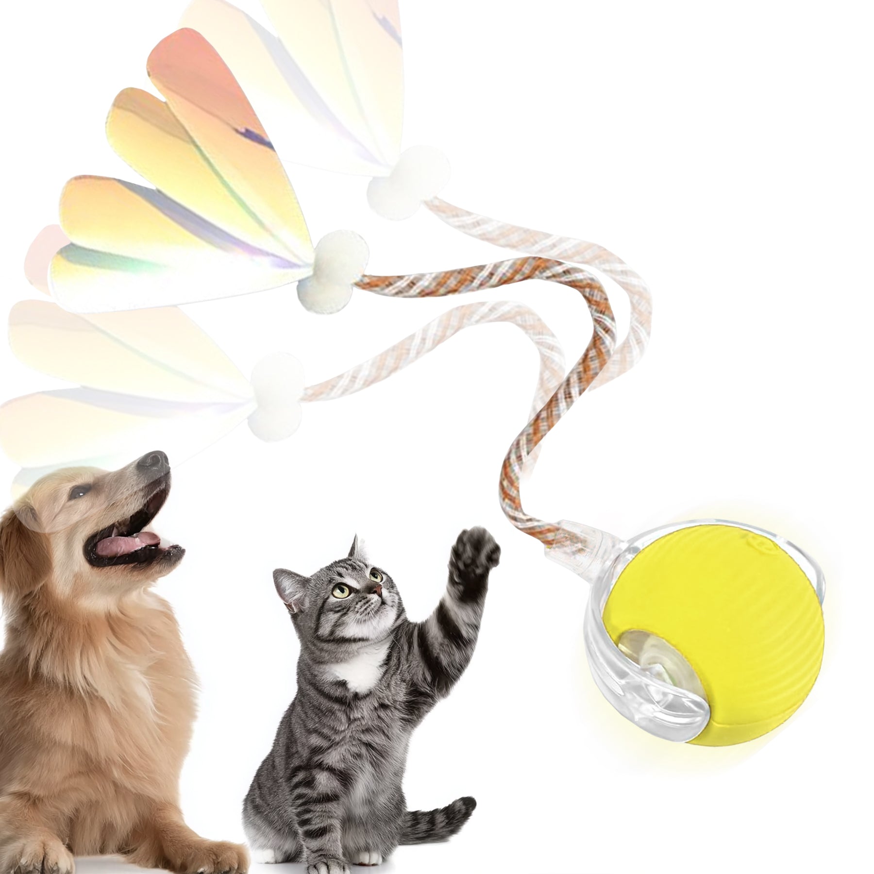 Self-Moving Cat Toy Ball with Elastic Tail — Two-Speed Interactive Play