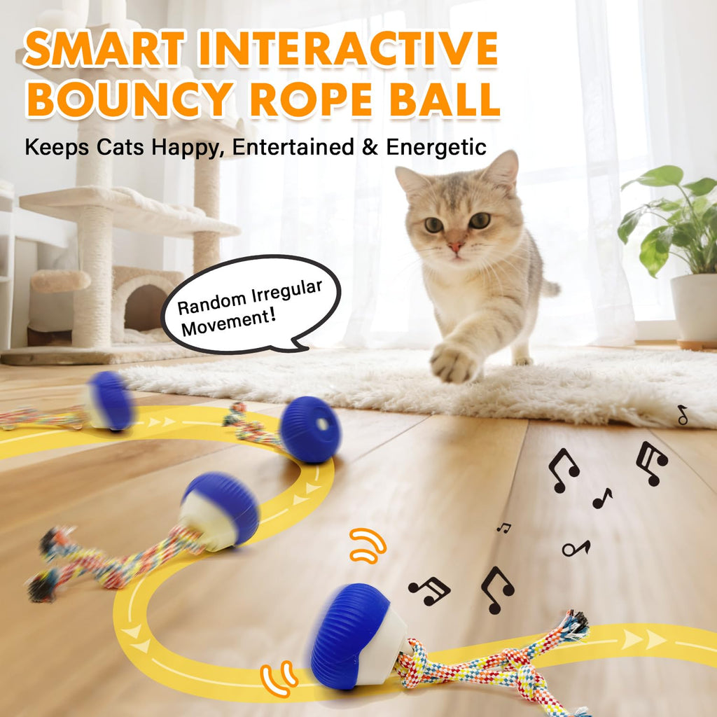 Self-Rolling Cat Toy Ball with LED Lights & Sound — Auto Rotating