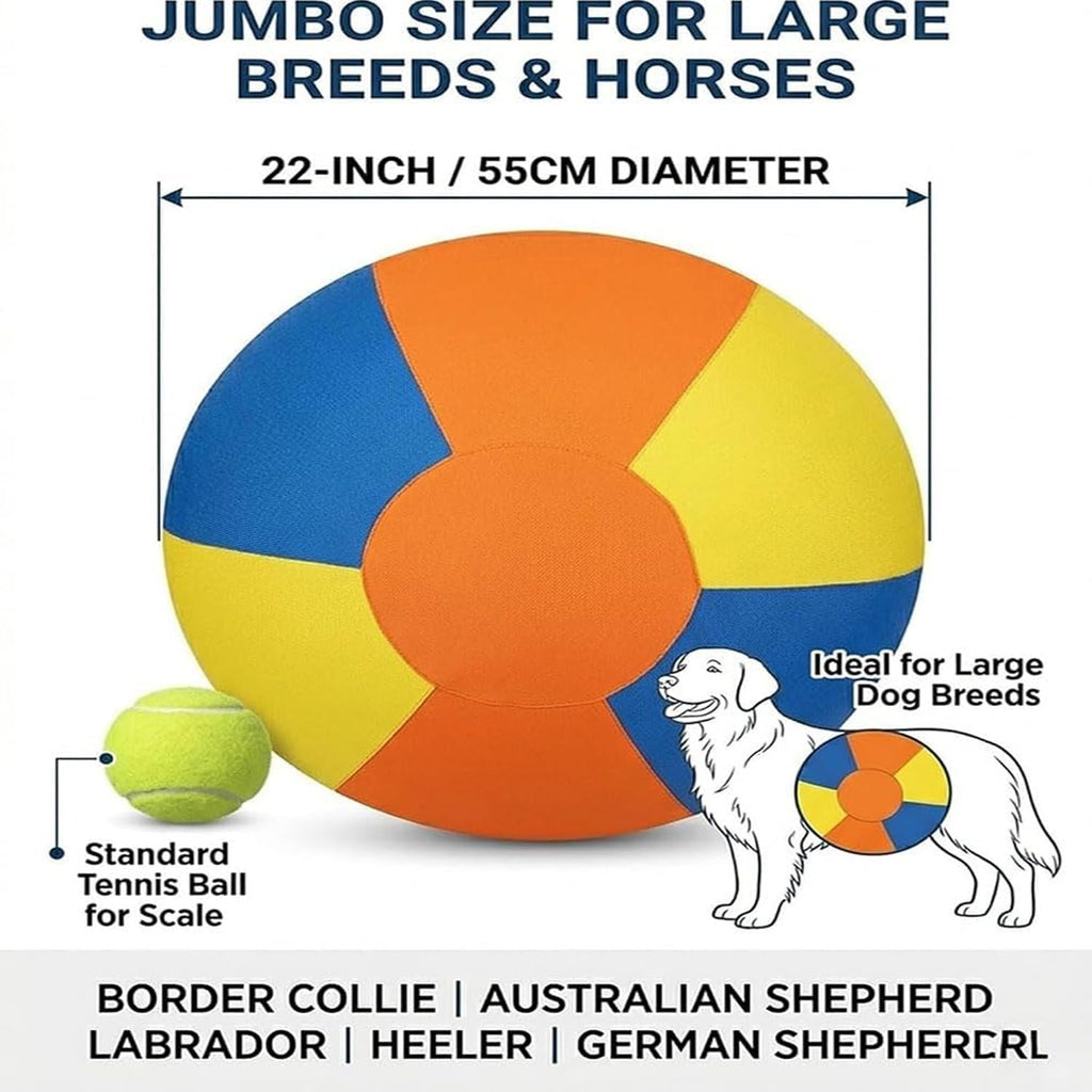 Herding Training Ball with Handles for Medium & Large Dogs — Outdoor Play