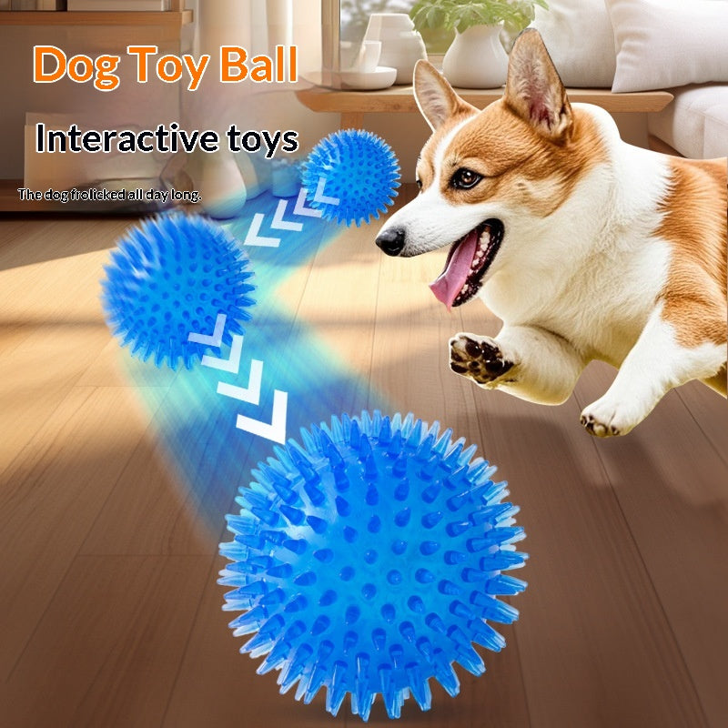 Bouncy Fetch Balls for Dogs — Durable TPR Set of 4 Sizes
