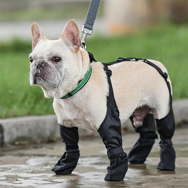 Protective Dog Boots for Outdoor Walks — Waterproof & Adjustable