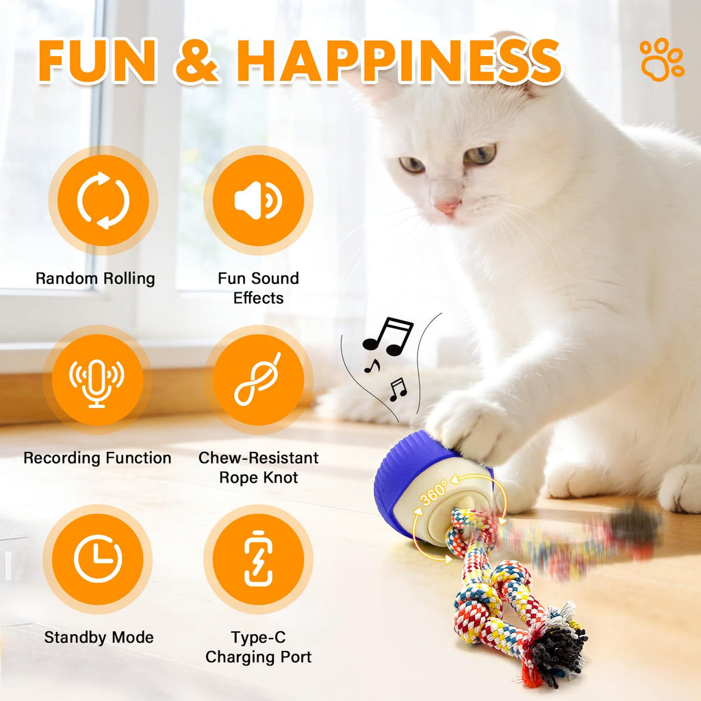 Self-Rolling Cat Toy Ball with LED Lights & Sound — Auto Rotating
