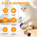 Self-Rolling Cat Toy Ball with LED Lights & Sound — Auto Rotating