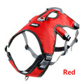 Secure Outdoor Vest Harness for Medium & Large Dogs — Nylon