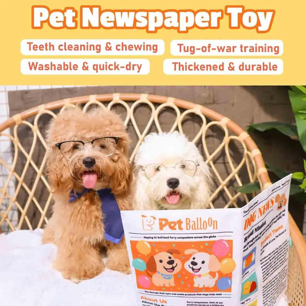 Crinkle Newspaper Dog Toy (2-Pack) for Small to Medium Dogs — Low-Noise Indoor Play