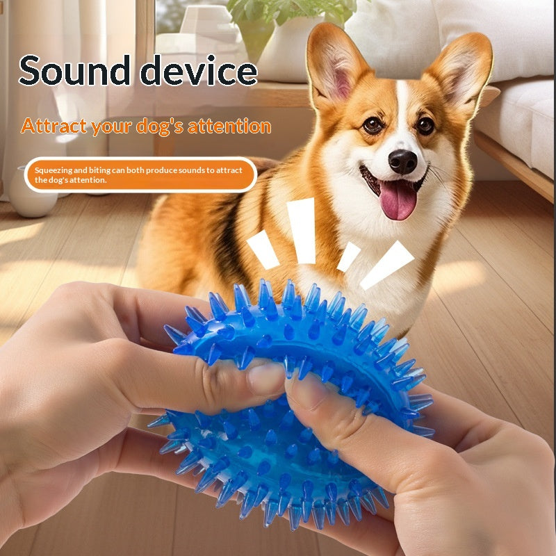 Bouncy Fetch Balls for Dogs — Durable TPR Set of 4 Sizes