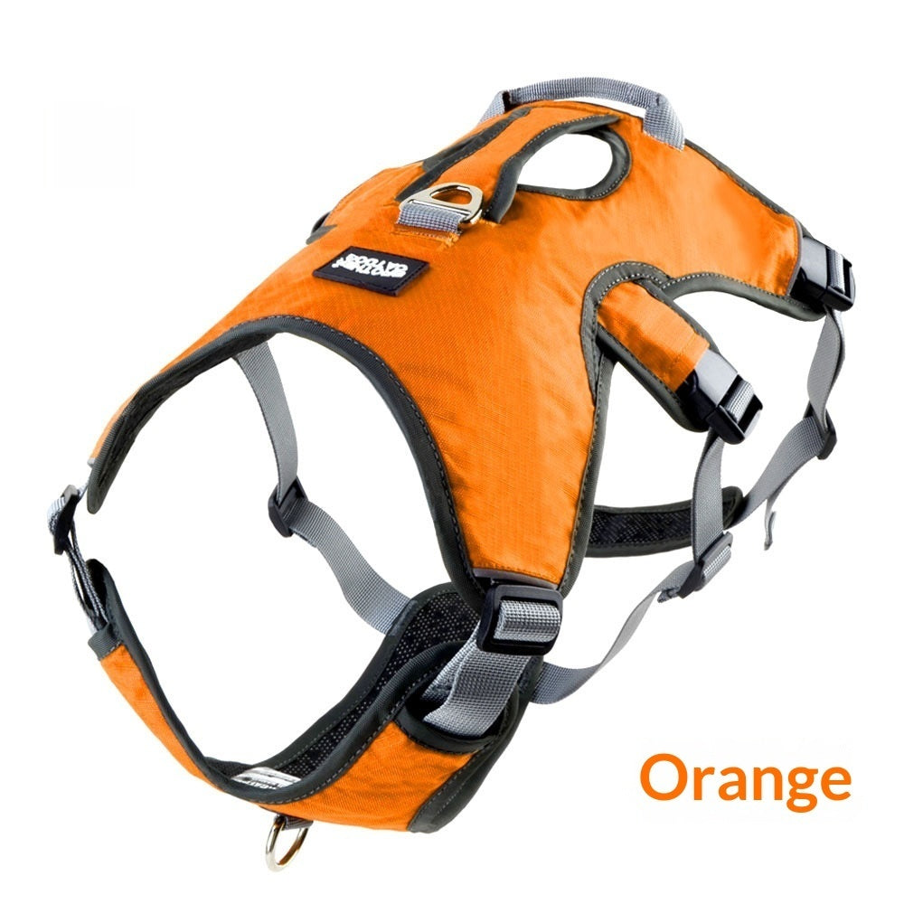 Secure Outdoor Vest Harness for Medium & Large Dogs — Nylon