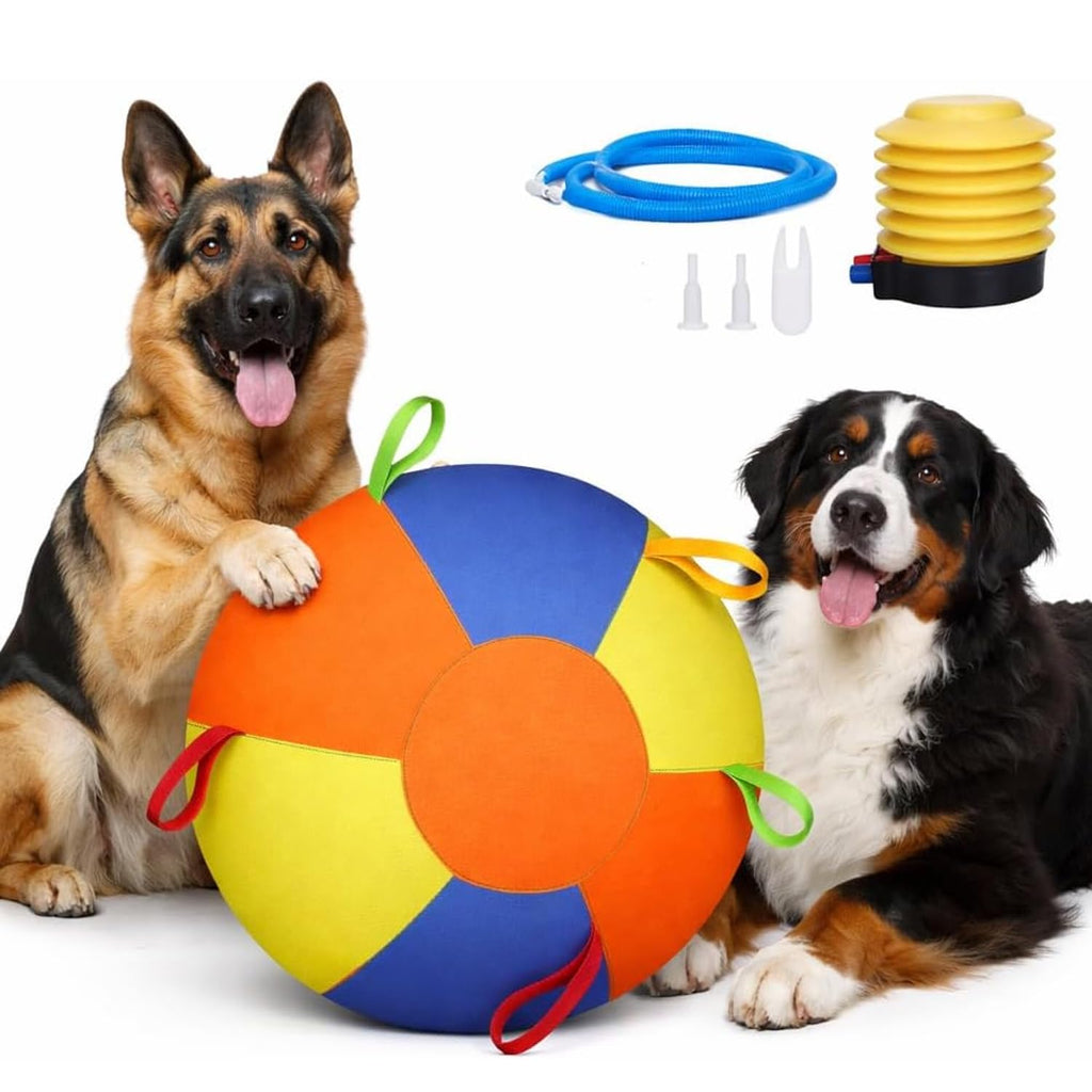 Herding Training Ball with Handles for Medium & Large Dogs — Outdoor Play