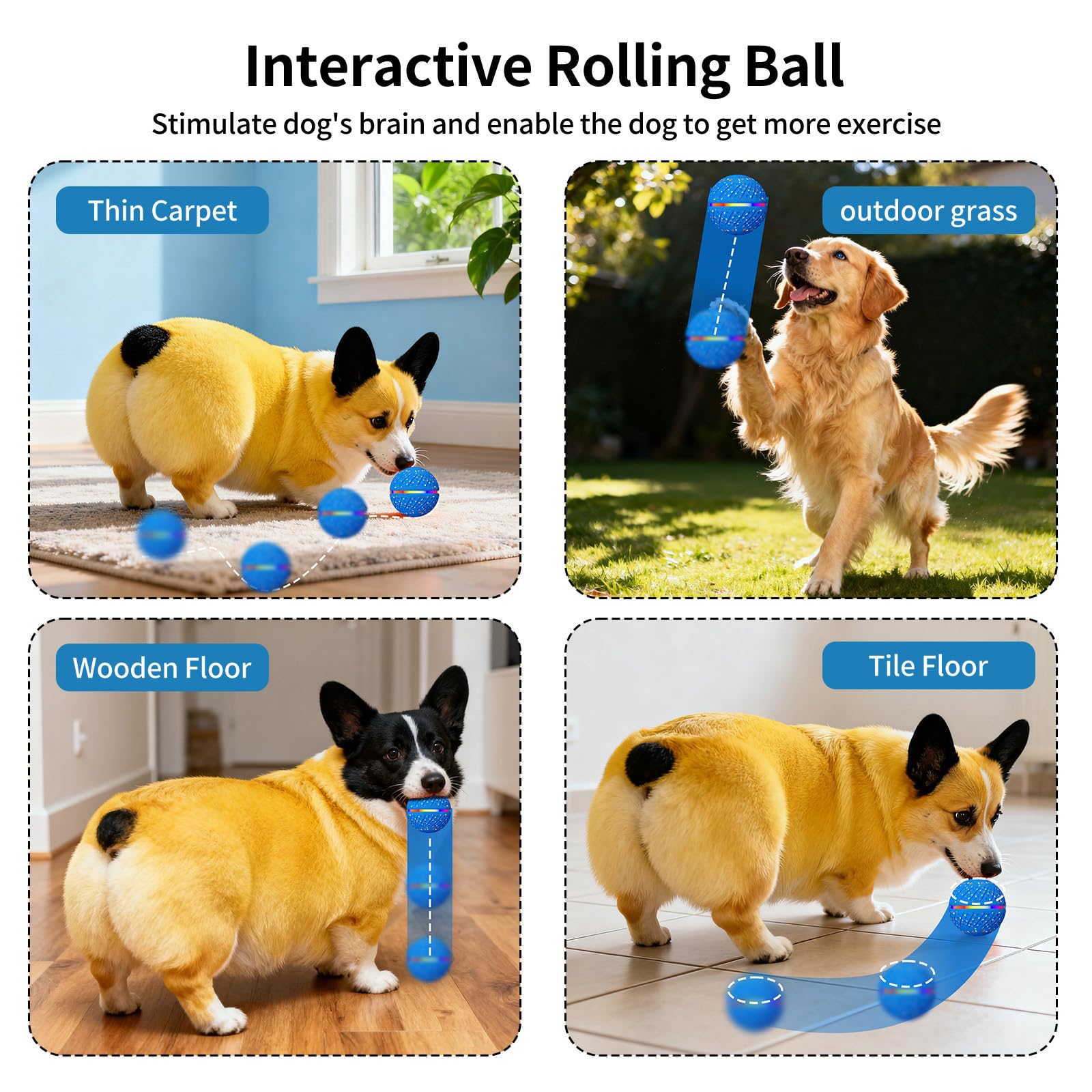 Self-Moving Dog Ball with LED Lights for Small & Medium Dogs — 3 Play Modes