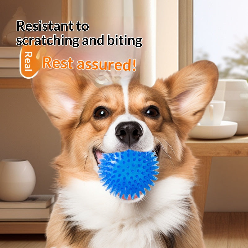 Bouncy Fetch Balls for Dogs — Durable TPR Set of 4 Sizes