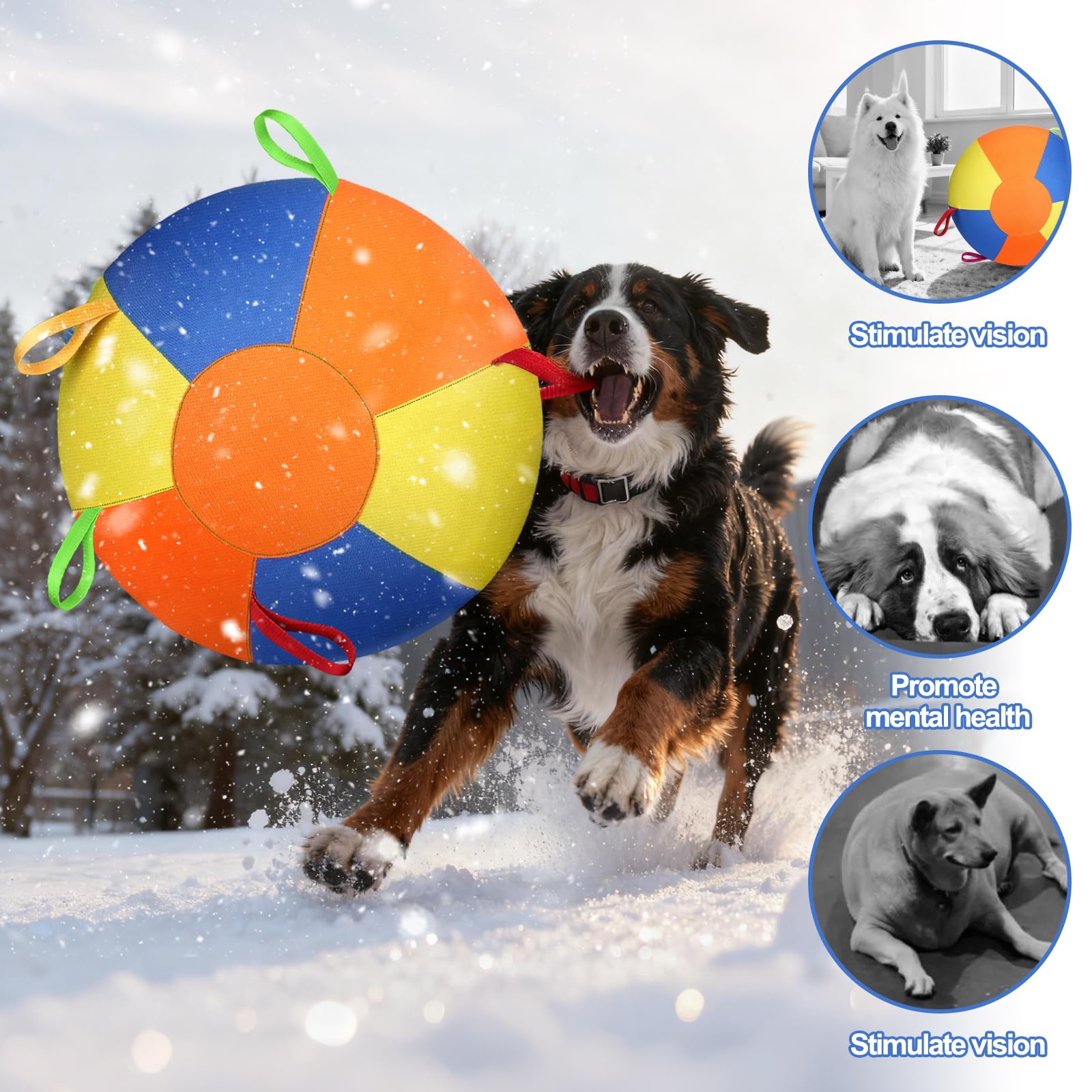 Herding Training Ball with Handles for Medium & Large Dogs — Outdoor Play
