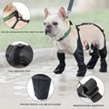 Protective Dog Boots for Outdoor Walks — Waterproof & Adjustable