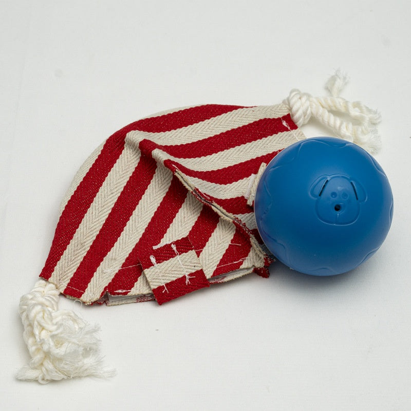 Interactive Jumping Ball Dog Toy — Remote-Controlled Electric Play