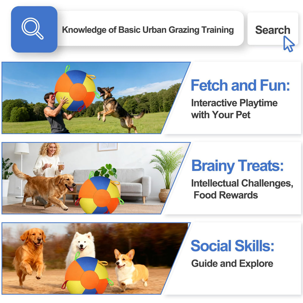 Herding Training Ball with Handles for Medium & Large Dogs — Outdoor Play