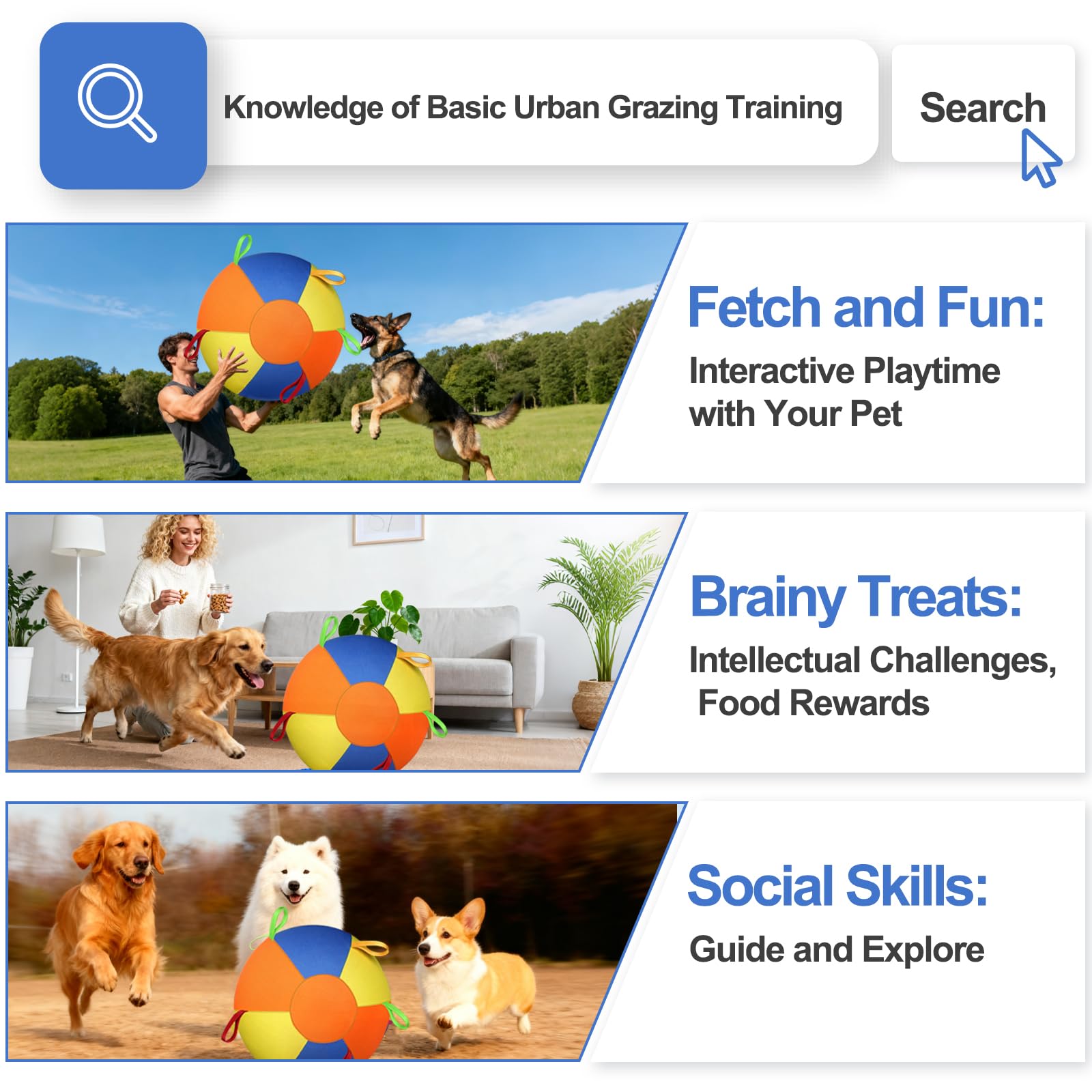 Herding Training Ball with Handles for Medium & Large Dogs — Outdoor Play