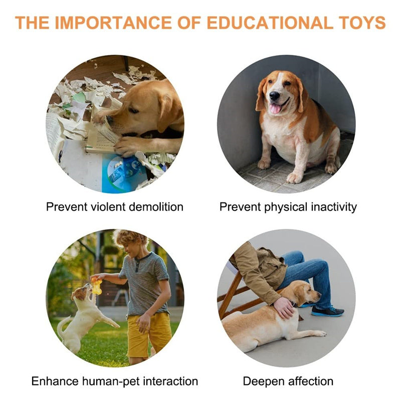 Recordable Talking Button for Dogs & Cats — Teach Your Pet to Communicate