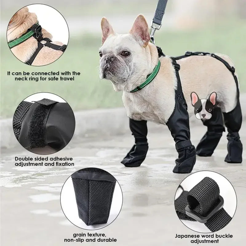 Protective Dog Boots for Outdoor Walks — Waterproof & Adjustable