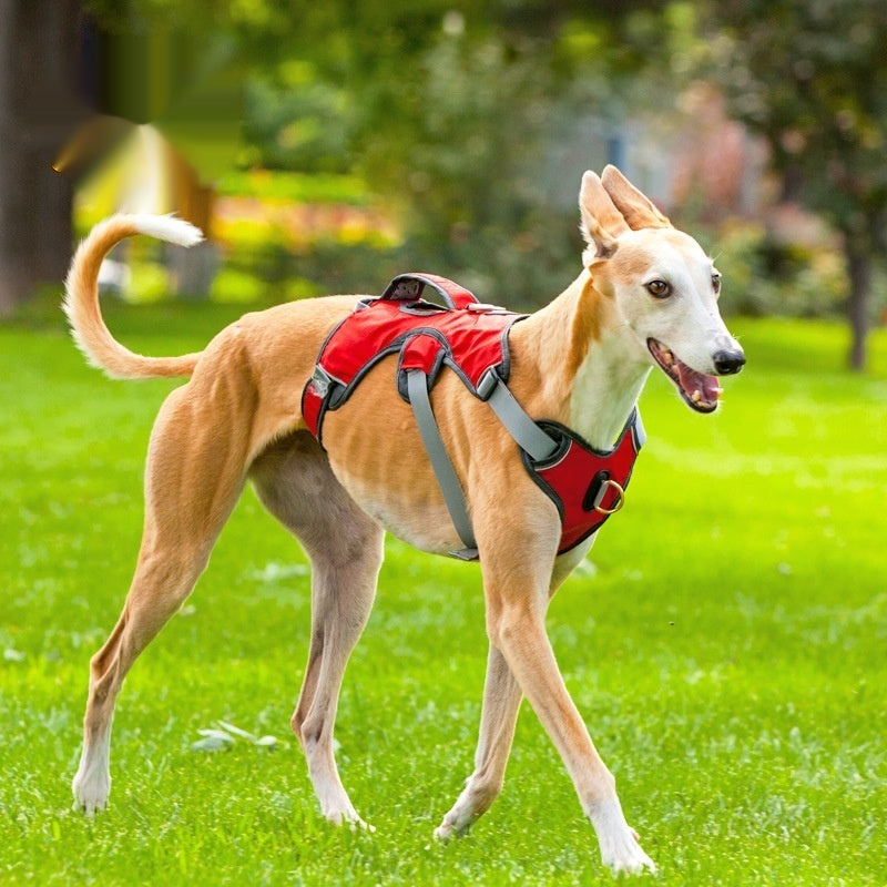 Secure Outdoor Vest Harness for Medium & Large Dogs — Nylon
