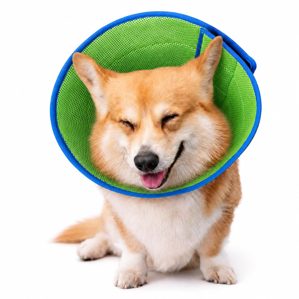 Recovery Cone Collar for Dogs & Cats — Soft, Adjustable & Washable